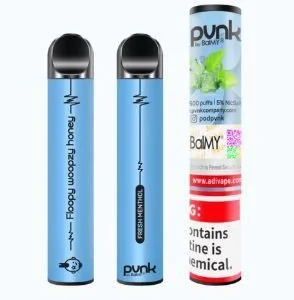 Fresh Menthol - PVNK - 600 Puffs - Pod Descartável
